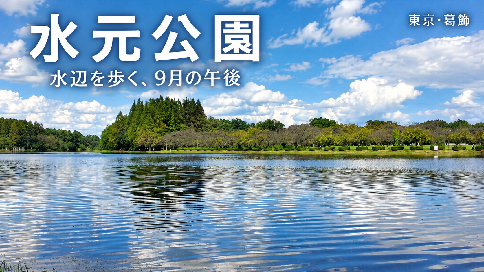 #9 目的地を決めずに、水元公園で2時間半のひとり散歩