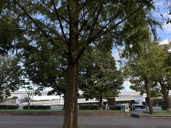 2026-10-07 16:00の投稿写真 1