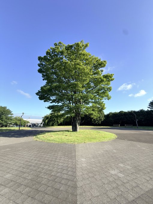 2026-08-04 07:00の投稿写真 1