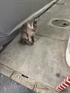 2026-08-12 23:06の投稿写真 2
