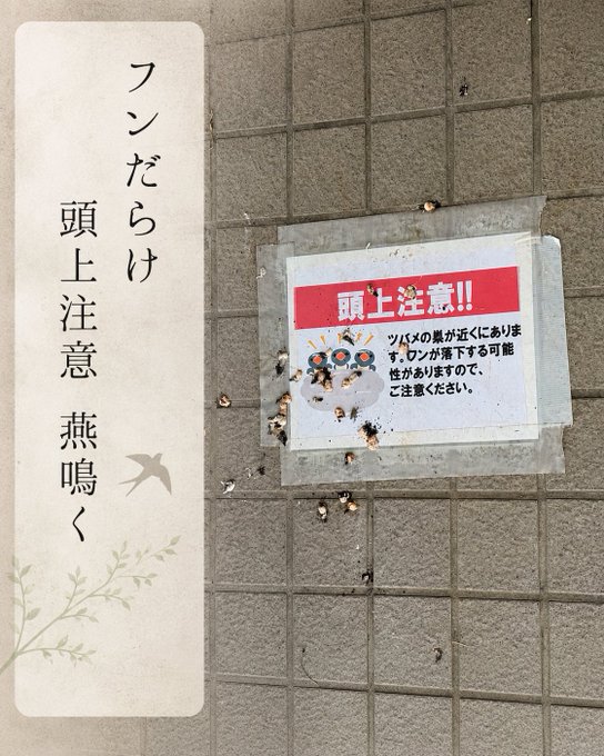 2026-07-14 07:44の投稿写真 1