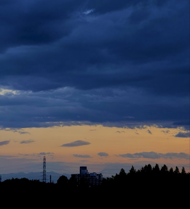 2026-07-29 19:10の投稿写真 2