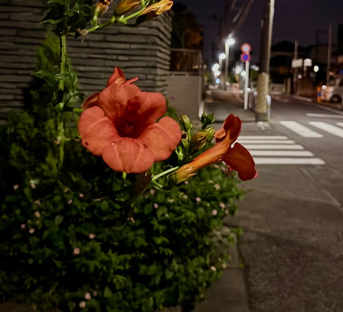 2026-07-09 23:25の投稿写真 2