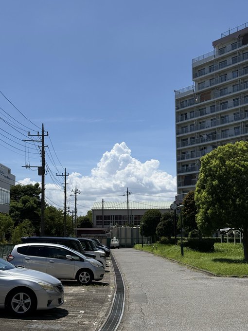 2026-08-08 12:42の投稿写真 1