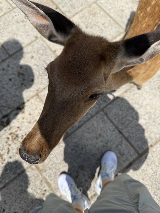 2026-08-14 11:19の投稿写真 2