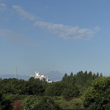 2026-07-29 07:24の投稿写真 1
