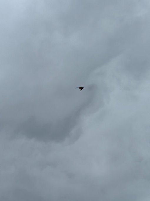 2026-07-18 12:17の投稿写真 1