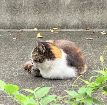 2026-09-01 08:43の投稿写真 2