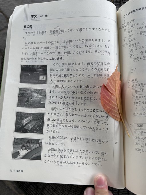 2026-07-07 07:30の投稿写真 1