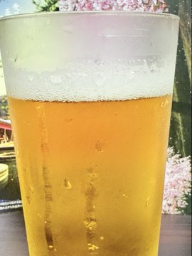 2026-09-04 18:13の投稿写真 2