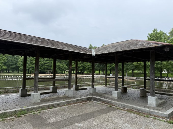 2026-07-07 07:30の投稿写真 3