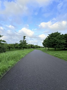 2026-07-08 05:51の投稿写真 2