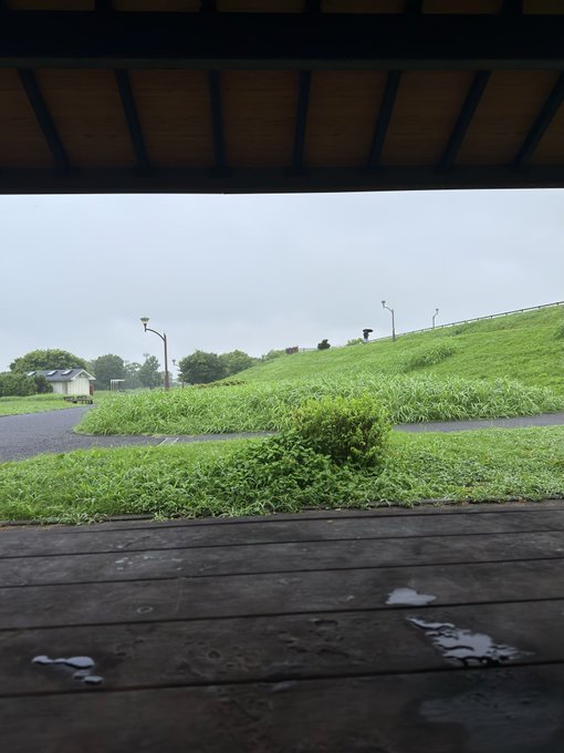 2026-08-06 06:58の投稿写真 1