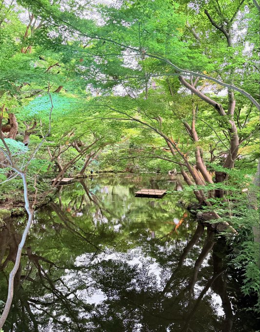 2026-07-05 18:35の投稿写真 2