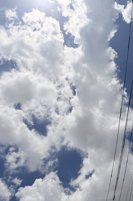 2026-08-07 16:52の投稿写真 2