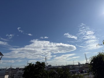 2026-07-29 07:24の投稿写真 2