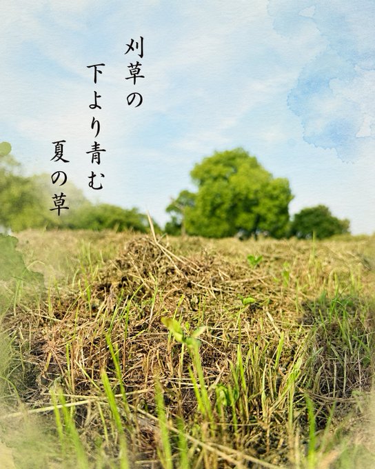 2026-07-15 17:17の投稿写真 1