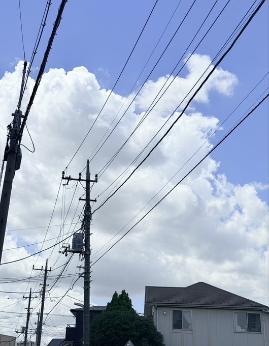 2026-08-07 16:52の投稿写真 3