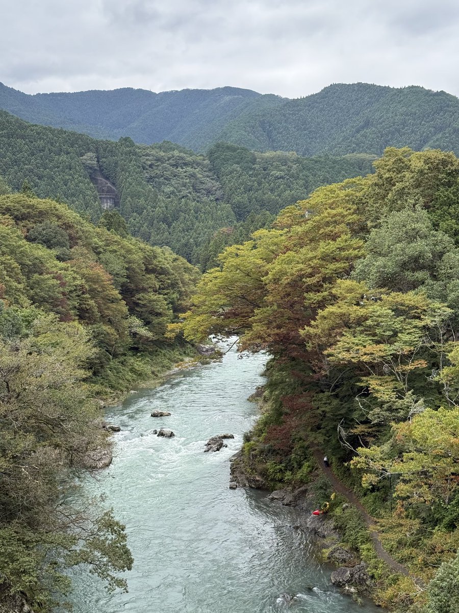 2026-10-03 13:05の投稿写真 1