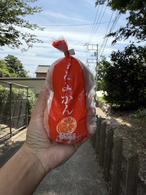 2026-08-09 10:17の投稿写真 1