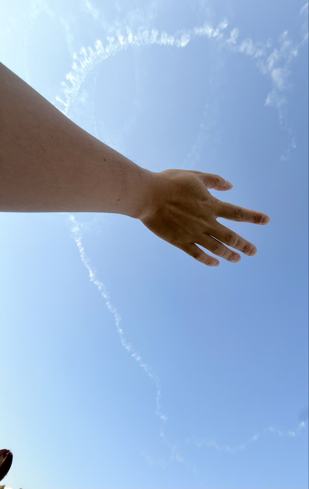 2026-10-10 21:27の投稿写真 1