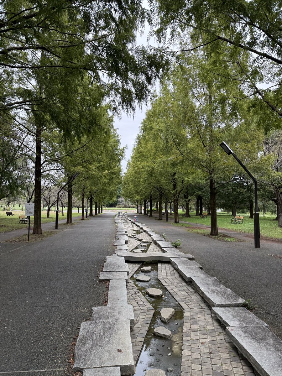2026-09-23 07:53の投稿写真 1