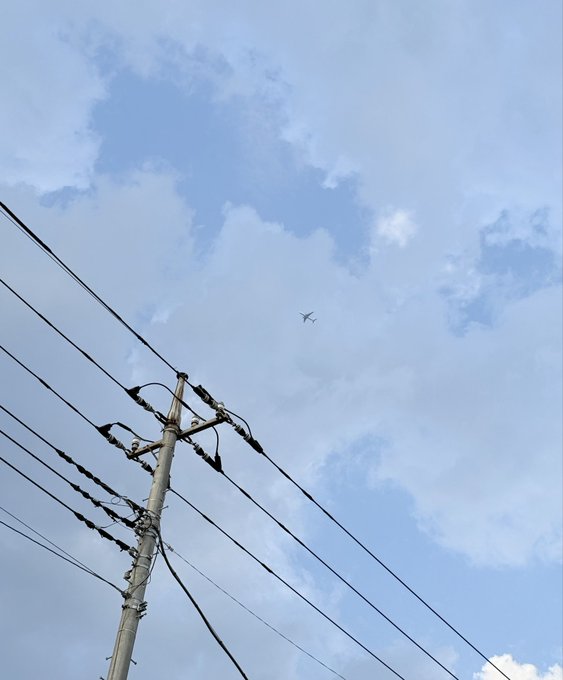 2026-07-30 17:35の投稿写真 1