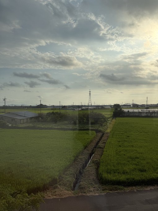 2026-08-10 16:57の投稿写真 1