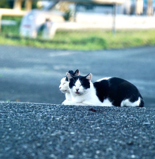 2026-08-18 15:46の投稿写真 1